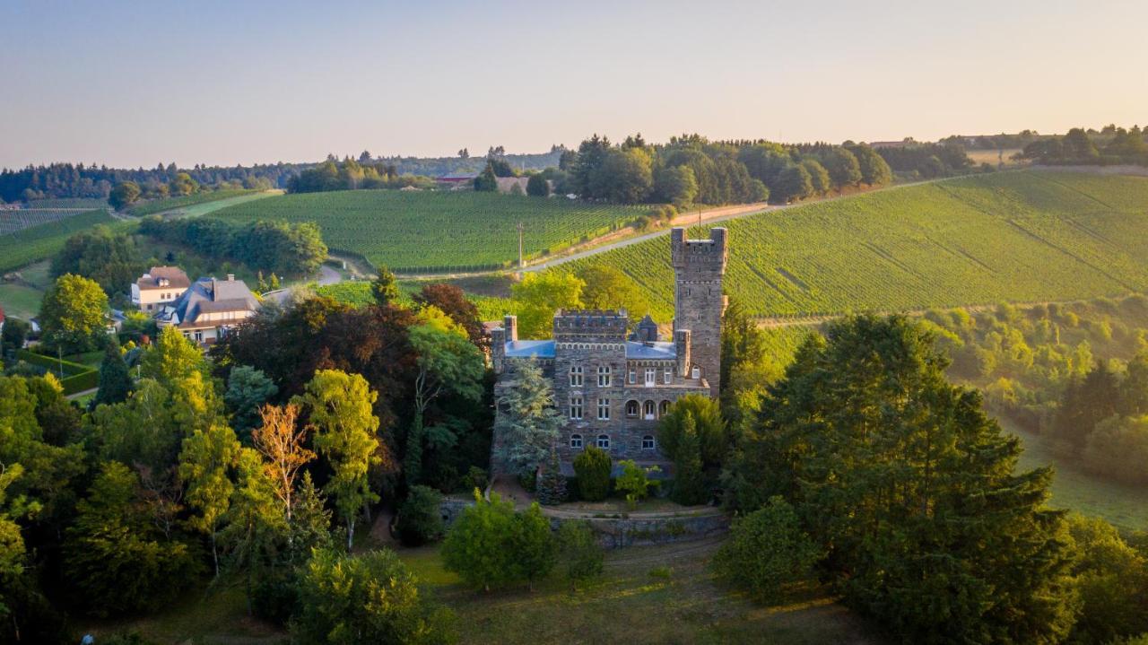 Villa Saar Castle - Cozy Mansion Near Vineyard à Serrig Extérieur photo